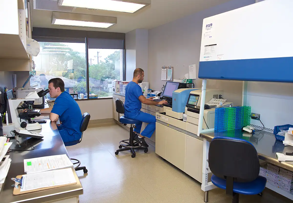 Dallas Embryology Lab